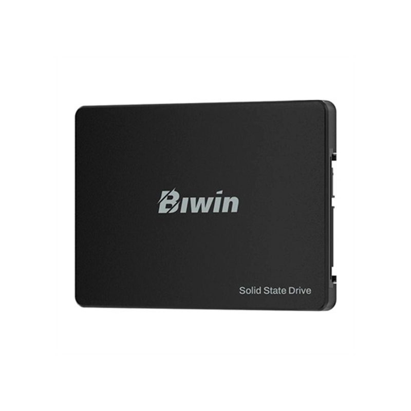 Unidad en estado Solido (SSD) Biwin M100, 256GB, SATA III (6.0Gb/s), 2.5"